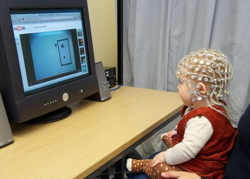 A baby takes part in an EEG experiment